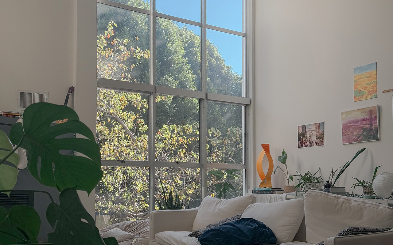 concrete house in lush environment